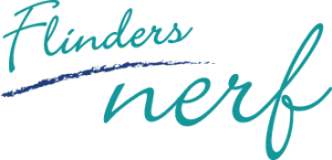 Nerf-logo-colour